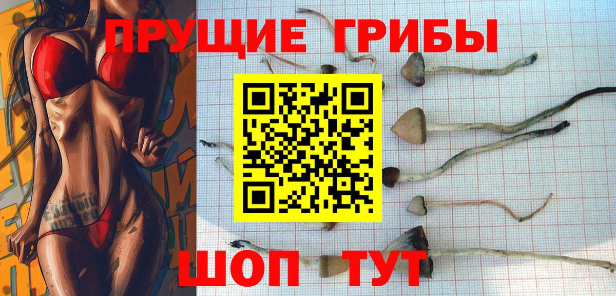 где купить наркоту  Галлюциногенные грибы мухоморы  Вход с VPN  Курчатов 