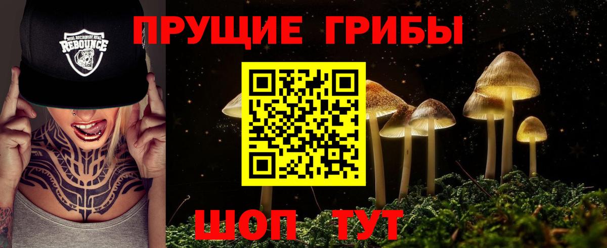 Галлюциногенные грибы мицелий Курчатов